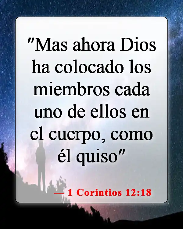 Versículos bíblicos sobre el orden en la iglesia (1 Corintios 12:18)