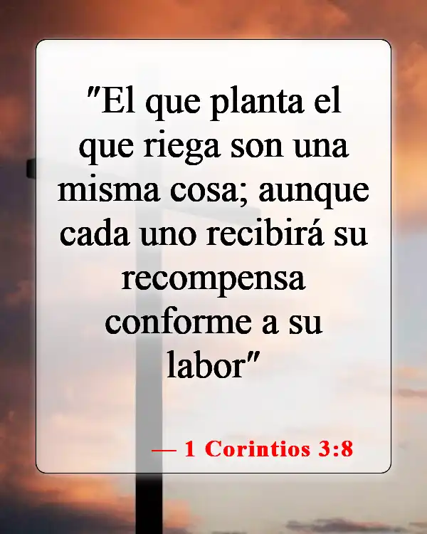 Versículos de la Biblia sobre el trabajo del hombre (1 Corintios 3:8)