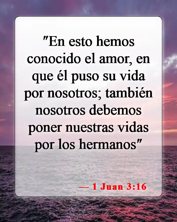 Versículos de la Biblia sobre fe, amor, gracia (1 Juan 3:16)