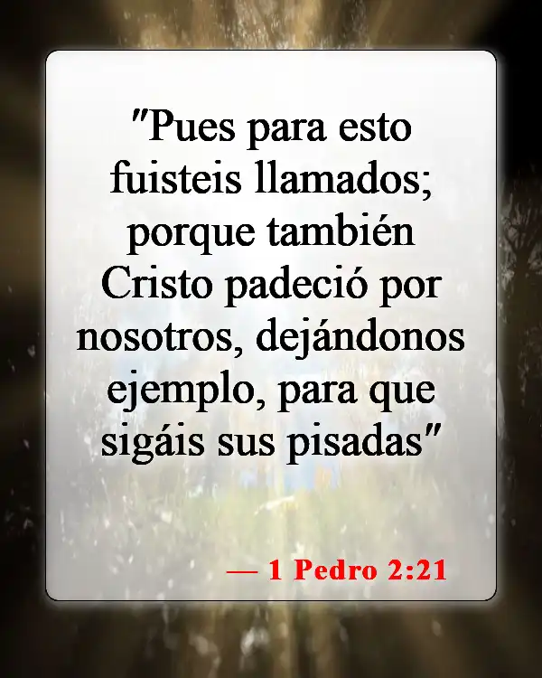 Versículos de la Biblia sobre seguir a Dios (1 Pedro 2:21)