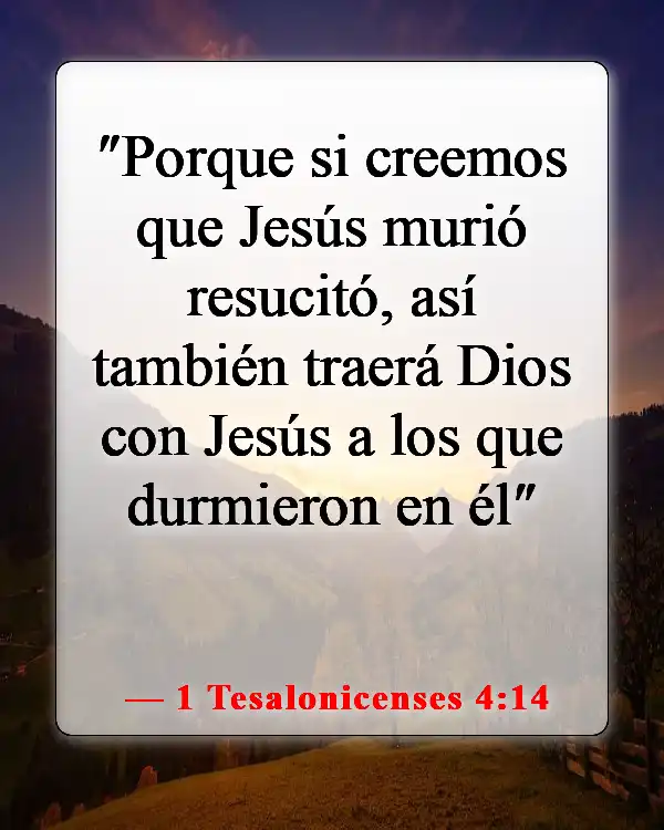 Versículos bíblicos sobre la vida después de la muerte (1 Tesalonicenses 4:14)