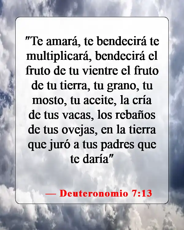 Versículos de la Biblia sobre bendiciones y maldiciones (Deuteronomio 7:13)