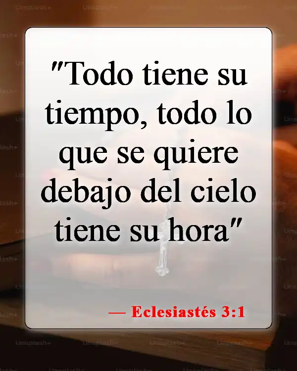 Versículos de la Biblia sobre el equilibrio en la vida (Eclesiastés 3:1)