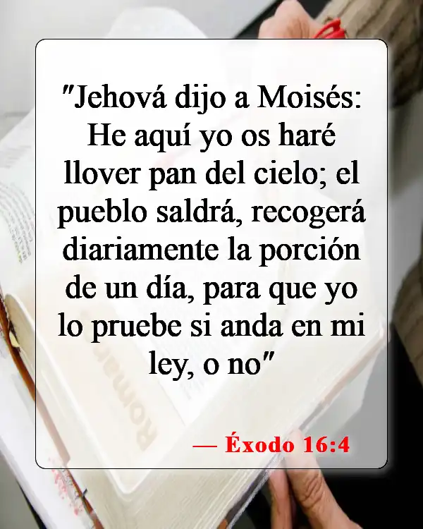 Versículos de la Biblia sobre bendecir los alimentos (Éxodo 16:4)