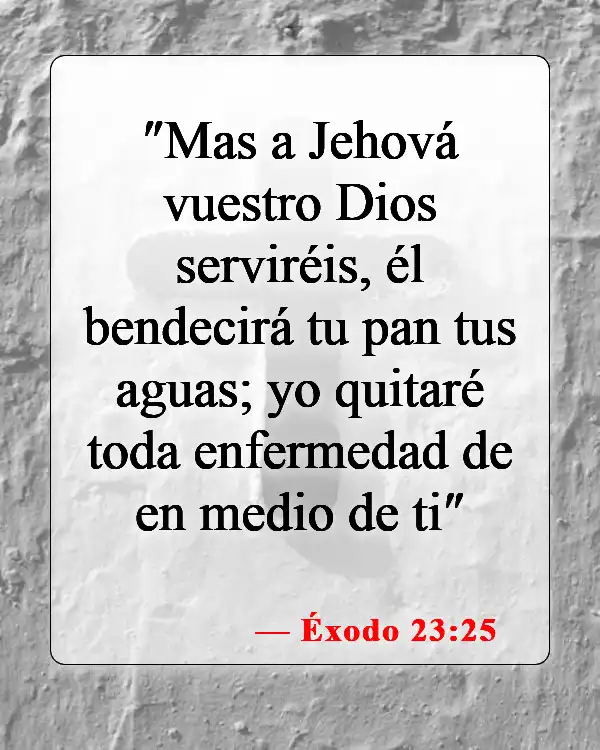 Versículos de la Biblia sobre la adoración a Dios (Éxodo 23:25)