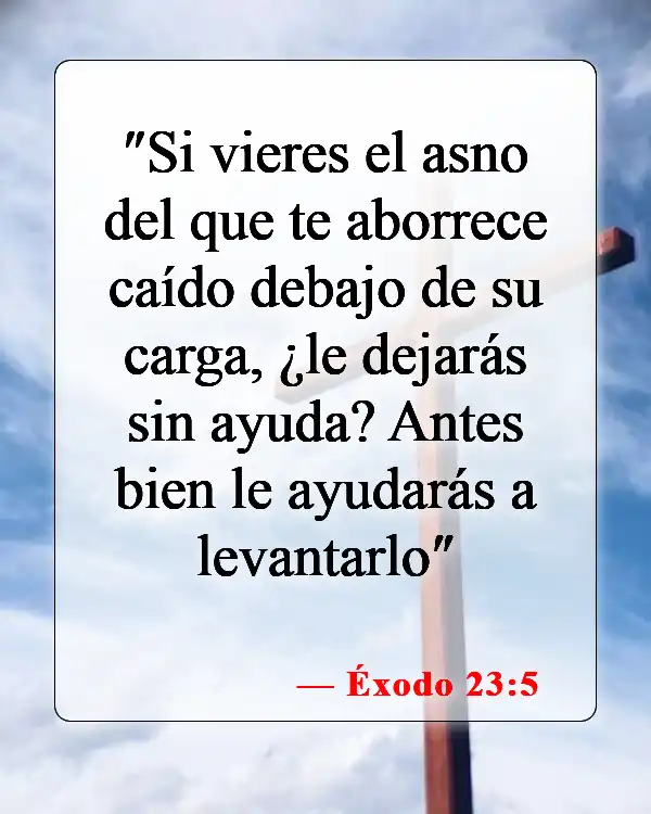 Versículos de la Biblia sobre la responsabilidad (Éxodo 23:5)