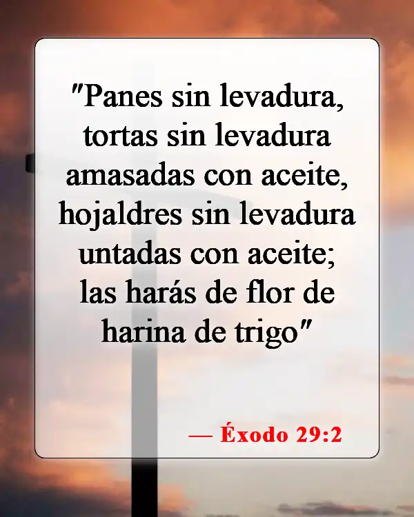 Versículos de la Biblia sobre la unción con aceite (Éxodo 29:2)