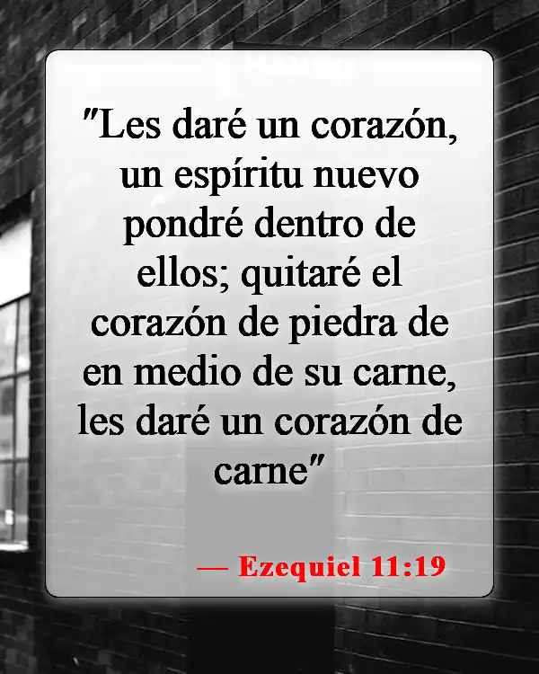 Versículos de la Biblia sobre corazones endurecidos (Ezequiel 11:19)