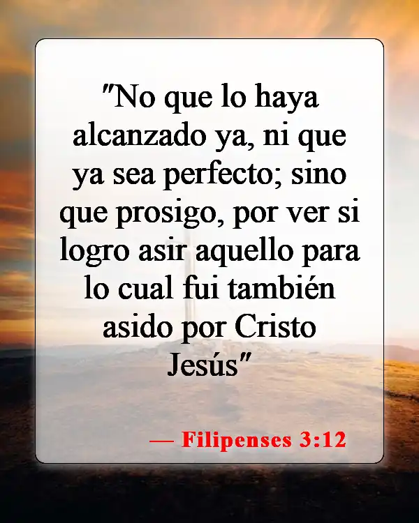 Versículos de la Biblia sobre que nadie es perfecto (Filipenses 3:12)