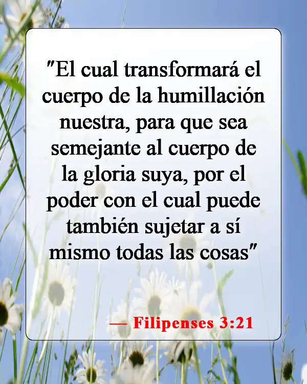 Versículos de la Biblia sobre amar tu cuerpo (Filipenses 3:21)