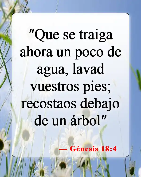 Versículos de la Biblia sobre el lavado de pies (Génesis 18:4)