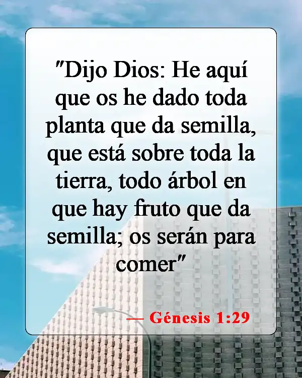 Versículos de la Biblia sobre comer pollo (Génesis 1:29)