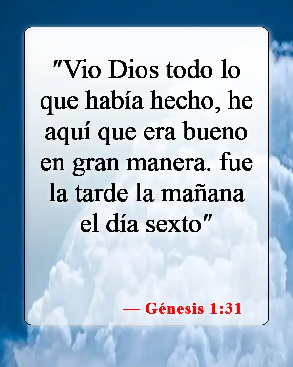 Versículos de la Biblia sobre la creación del mundo en 7 días (Génesis 1:31)
