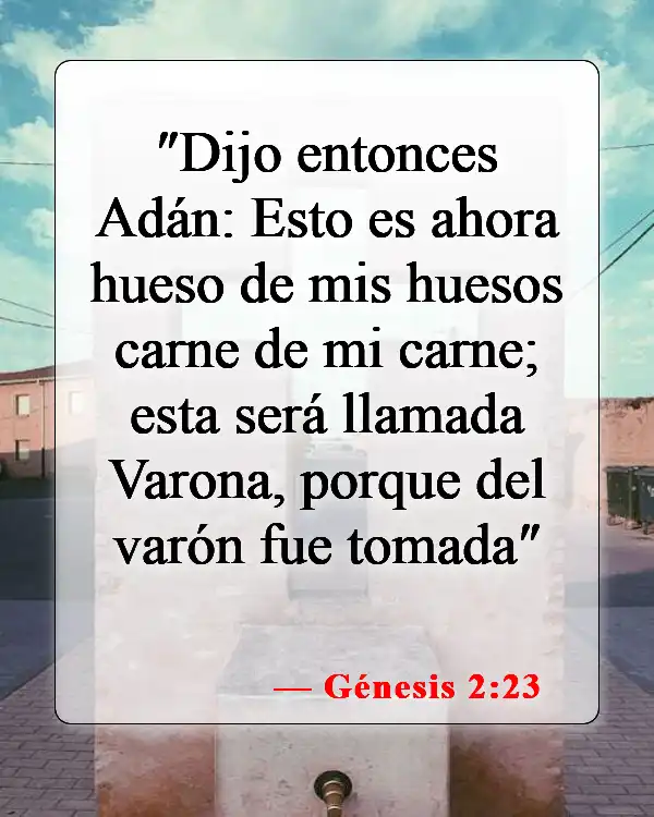 Versículos bíblicos sobre la creación y la caída (Génesis 2:23)