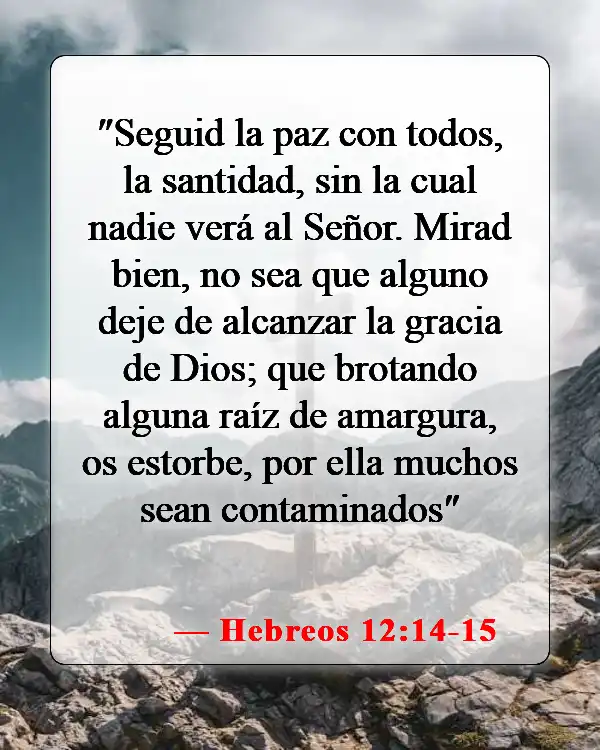 Versículos de la Biblia sobre el perdón en el matrimonio (Hebreos 12:14-15)