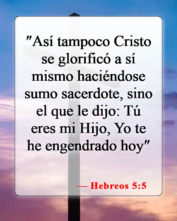 Versículos de la Biblia sobre el Hijo de Dios (Hebreos 5:5)