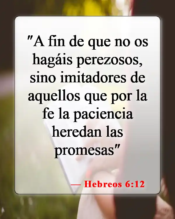 Versículos de la Biblia sobre la paciencia (Hebreos 6:12)