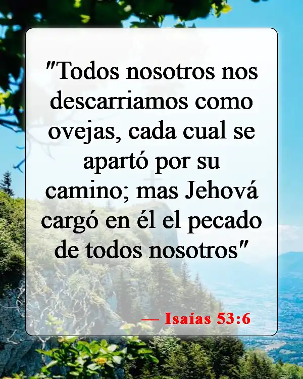 Versículos de la Biblia sobre culpar a otros (Isaías 53:6)