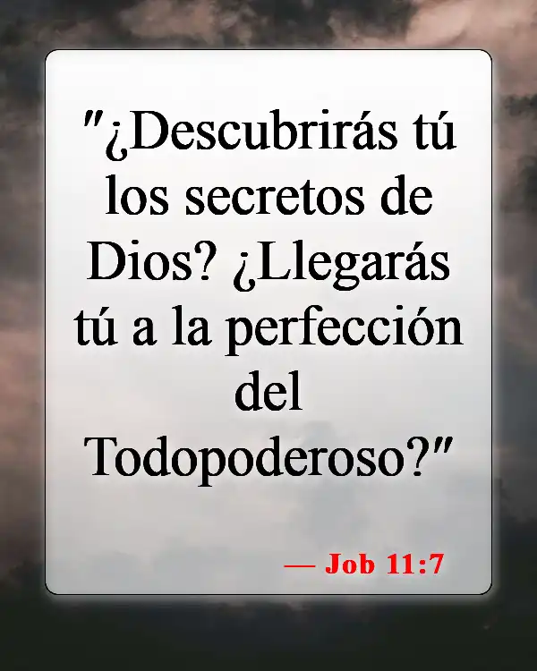 Versículos bíblicos sobre conocer el futuro (Job 11:7)
