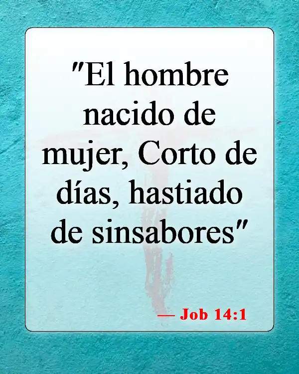 Versículos de la Biblia sobre la mala suerte (Job 14:1)