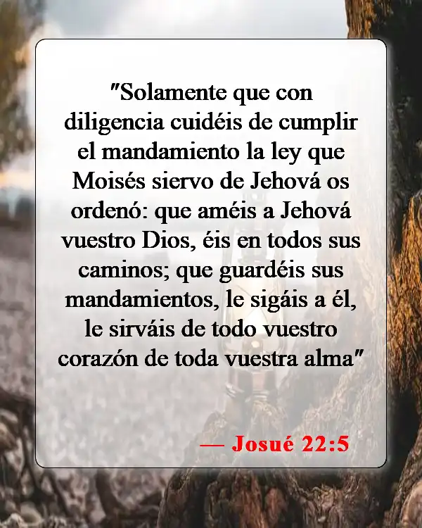 Versículos de la Biblia sobre amar al Señor con todo tu corazón (Josué 22:5)