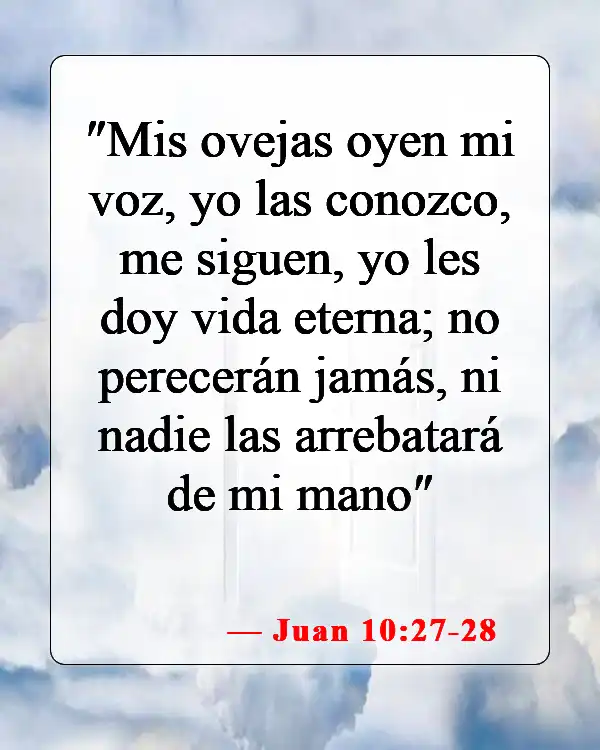 Versículos de la Biblia sobre los seres queridos que han partido (Juan 10:27-28)