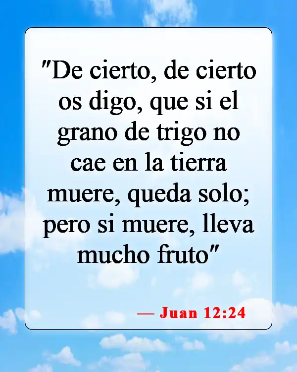 Versículos de la Biblia sobre llevar la cruz (Juan 12:24)