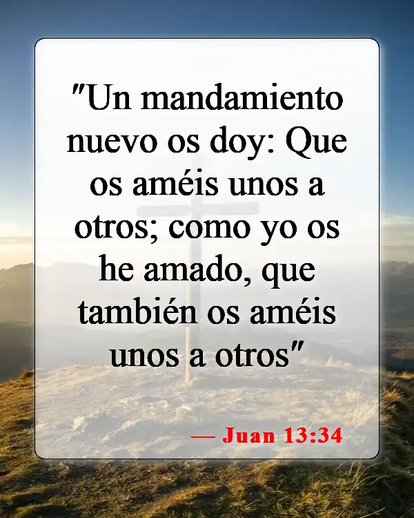 Versículos bíblicos sobre amar a Dios (Juan 13:34)