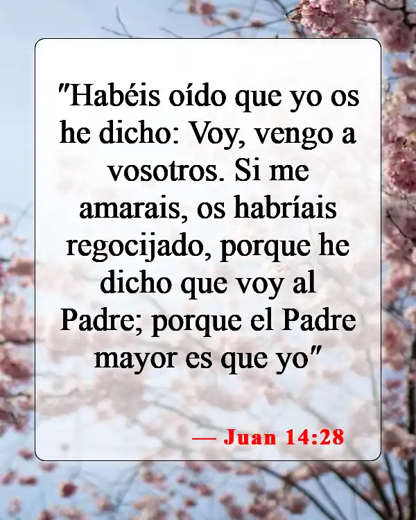 Versículos bíblicos sobre el rapto (Juan 14:28)