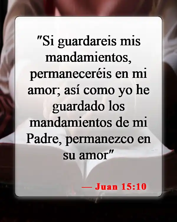 Versículos de la Biblia sobre seguir la voluntad de Dios (Juan 15:10)