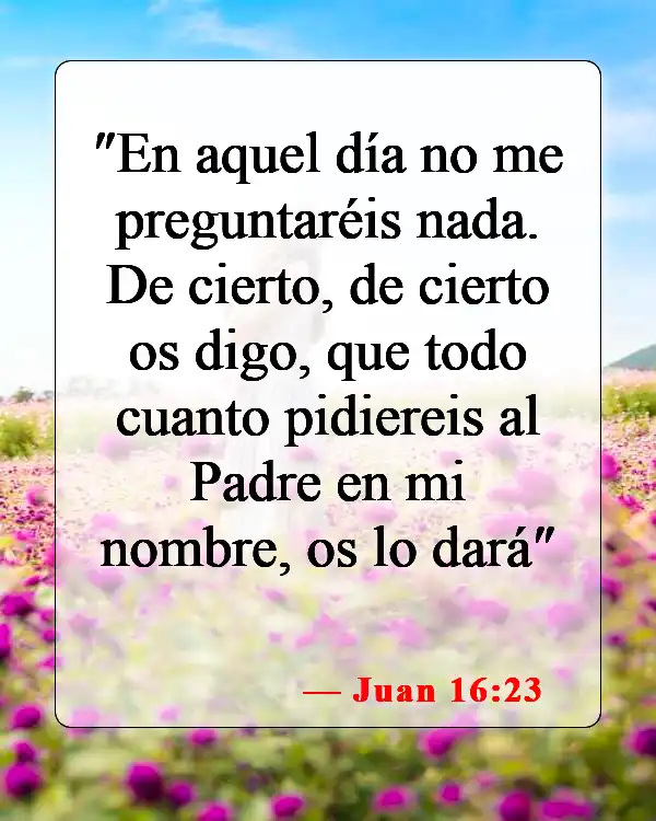 Versículos de la Biblia sobre Pedir en el Nombre de Jesús (Juan 16:23)