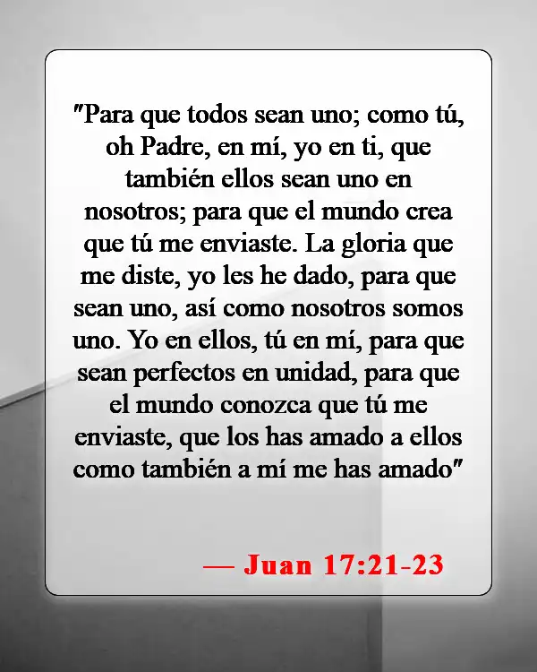 Versículos de la Biblia sobre hermanos y hermanas en Cristo (Juan 17:21-23)
