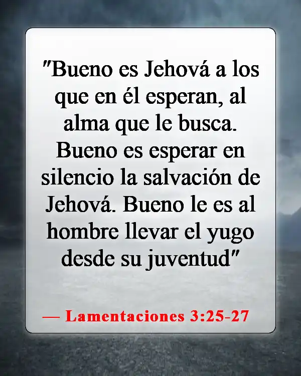 Versículos bíblicos sobre la longanimidad (Lamentaciones 3:25-27)