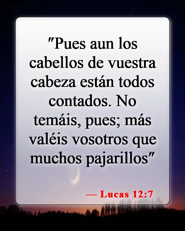 Versículos de la Biblia sobre amar tu cuerpo (Lucas 12:7)