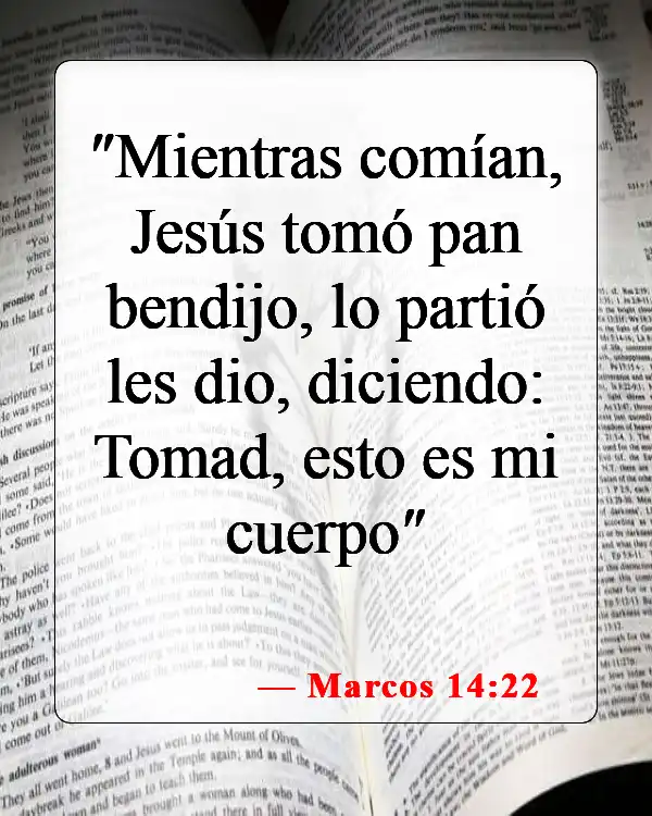 Versículos bíblicos sobre la Última Cena (Marcos 14:22)