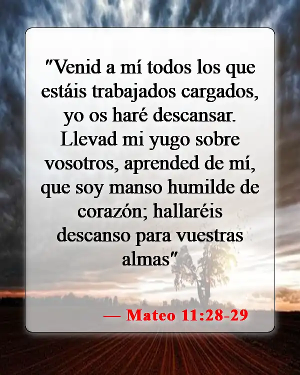 Versículos bíblicos sobre pasar tiempo con Dios (Mateo 11:28-29)