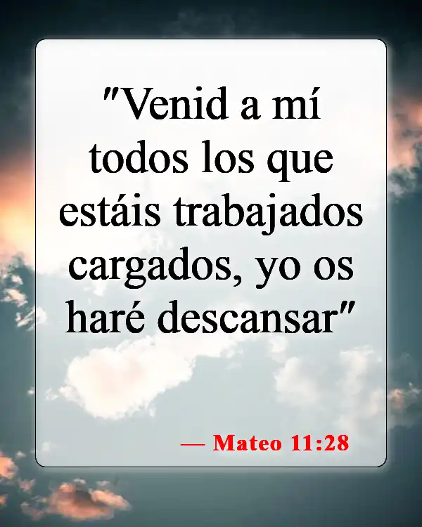 Versículos de la Biblia sobre la paz con Dios (Mateo 11:28)