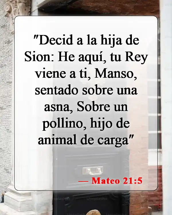 Versículos bíblicos sobre el Domingo de Ramos (Mateo 21:5)