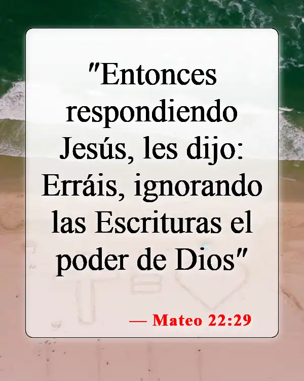 Versículos de la Biblia sobre la falta de conocimiento (Mateo 22:29)