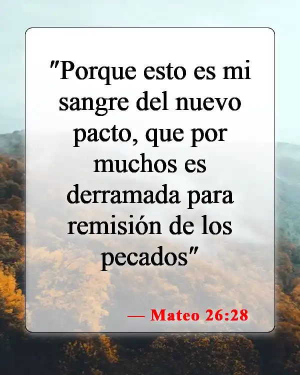 Versículos de la Biblia sobre las perforaciones (Mateo 26:28)