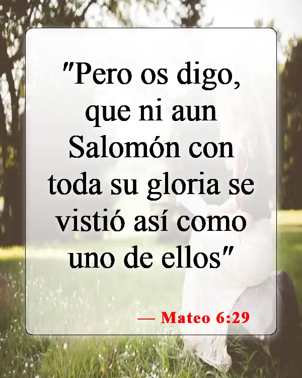 Versículos de la Biblia sobre el rey Salomón (Mateo 6:29)