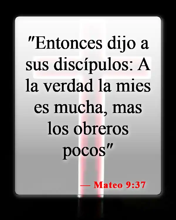 Versículos de la Biblia sobre ganar almas (Mateo 9:37)