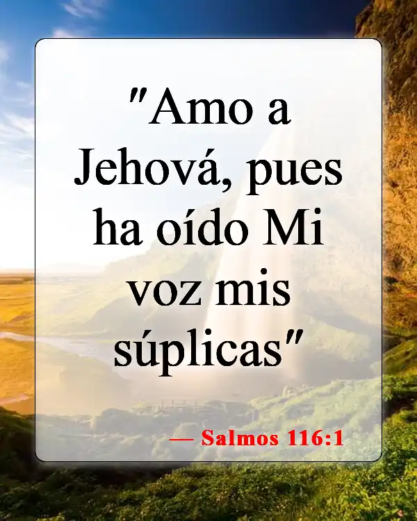 Versículos bíblicos sobre amar al Señor (Salmos 116:1)