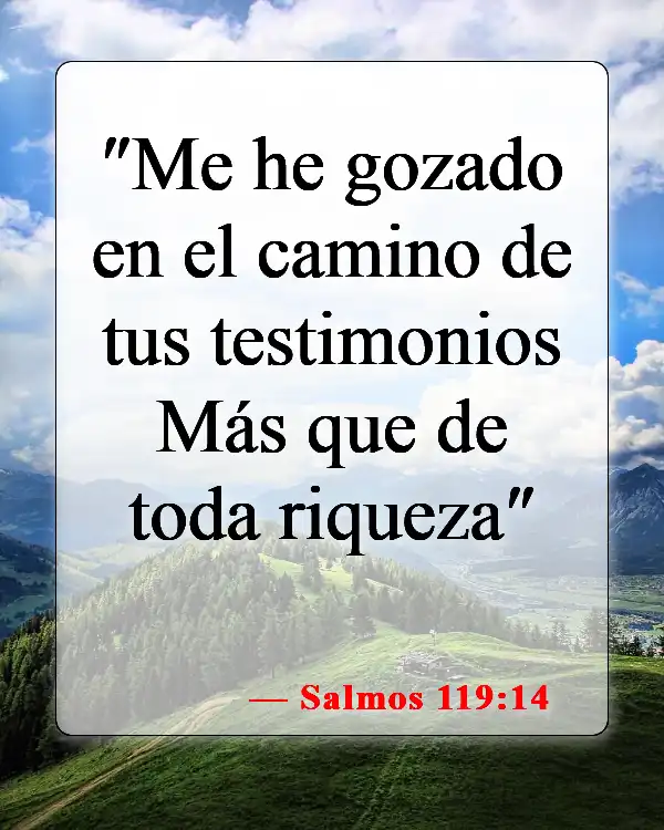 Versículos bíblicos sobre orar y leer la Biblia (Salmos 119:14)