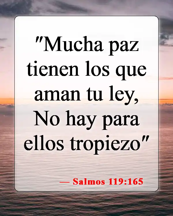 Versículos de la Biblia sobre memorizar las Escrituras (Salmos 119:165)