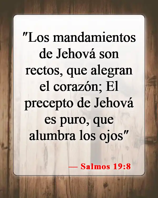 Versículos de la Biblia sobre disfrutar la vida (Salmos 19:8)