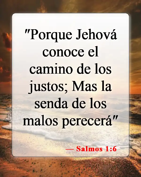 Versículos de la Biblia sobre que Dios conoce tu nombre (Salmos 1:6)