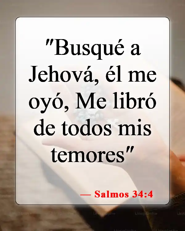 Versículos de la Biblia sobre cómo afrontar el miedo (Salmos 34:4)