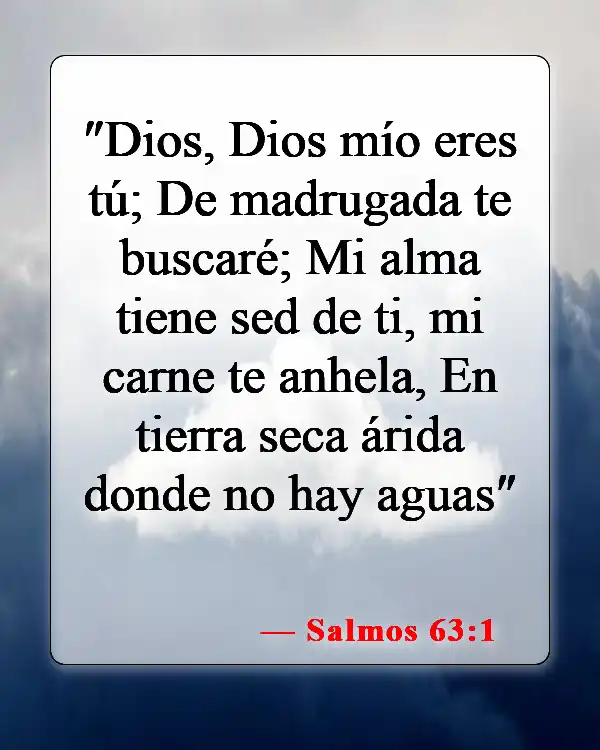 Versículos de la Biblia sobre el cuerpo, el alma y el espíritu (Salmos 63:1)