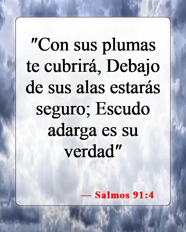 Versículos de la Biblia sobre la protección del mal (Salmos 91:4)